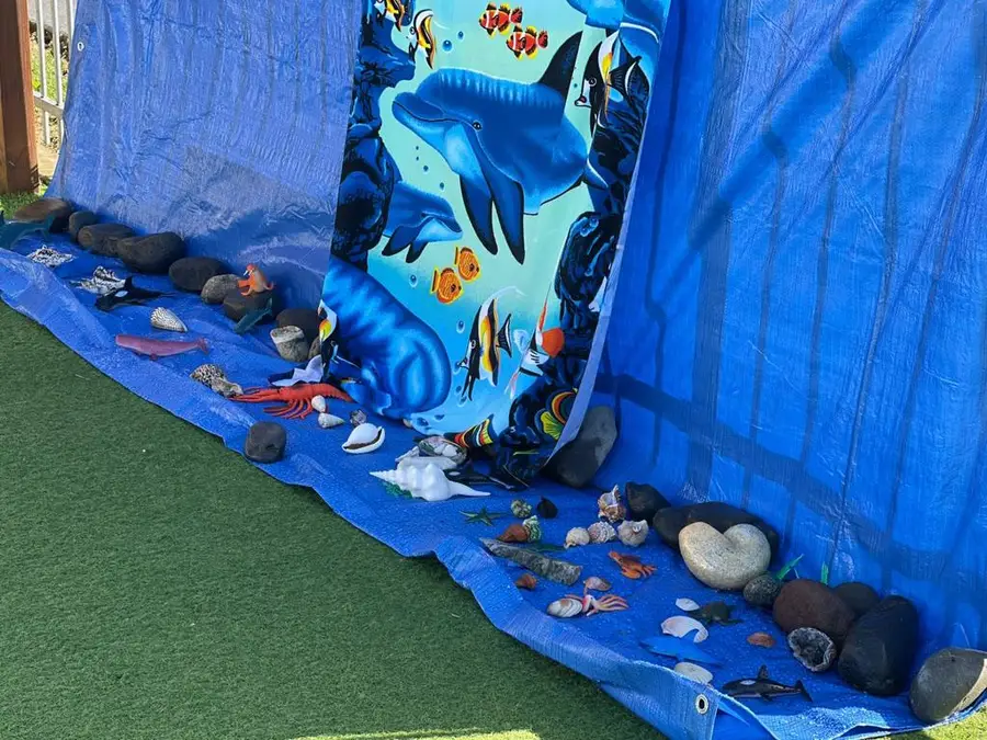 Ocean animals