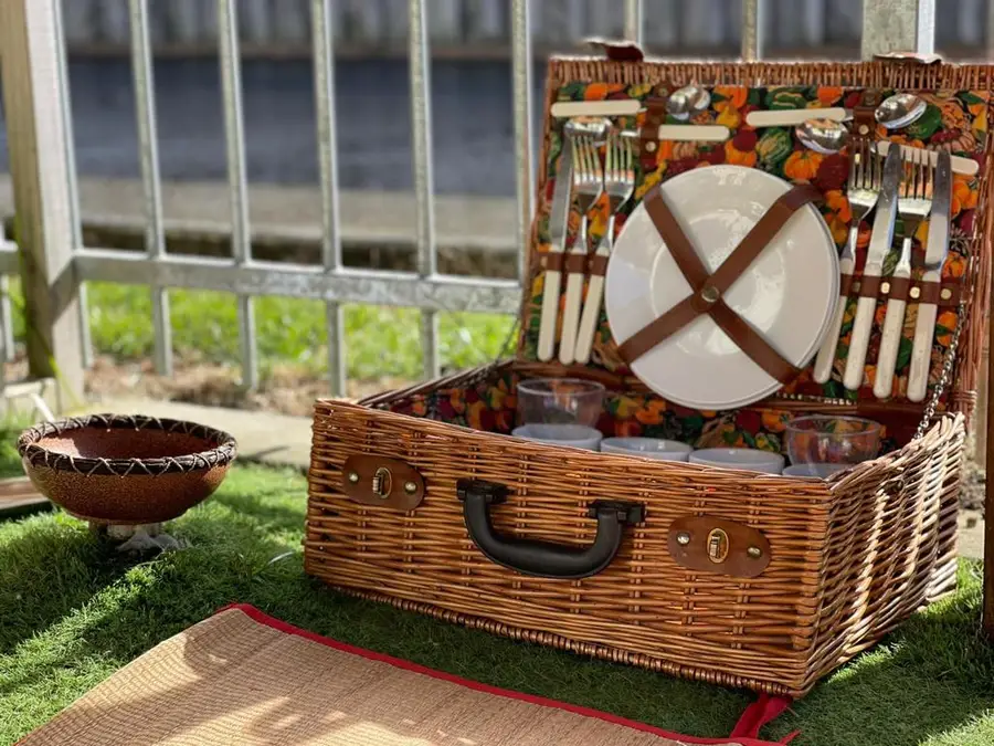 Picnic play